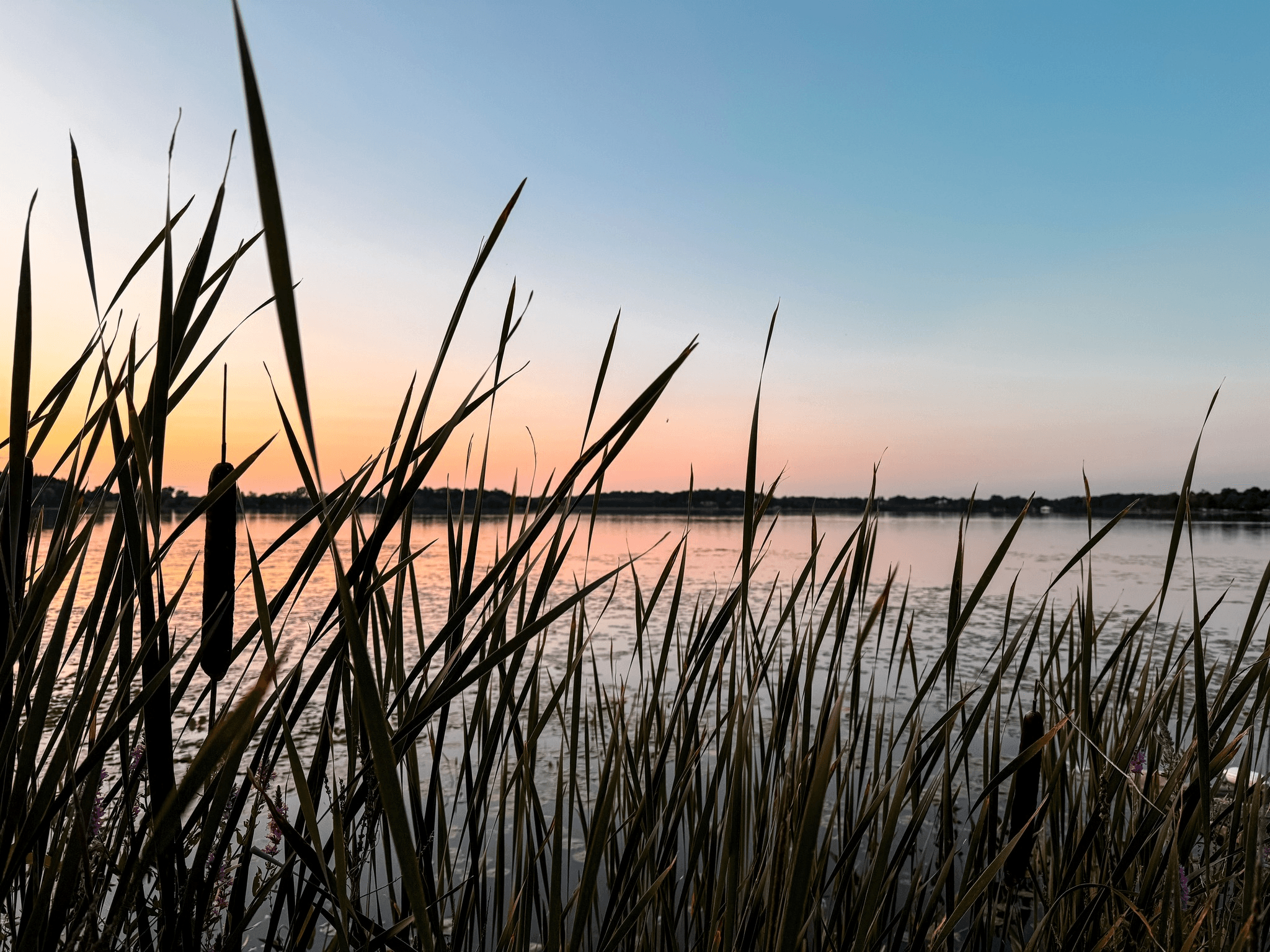 Sunrise on the Lake